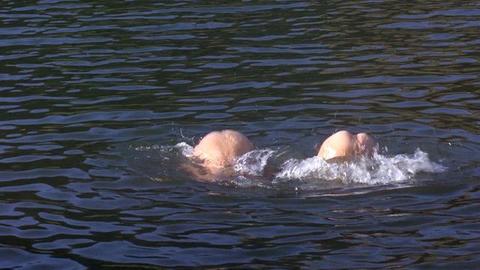 Camilla More Nude in Friday the 13th Part IV. Butt, breasts, left breast. 191218