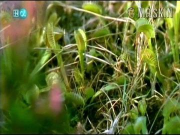 Cosma Shiva Hagen in Der Laden (1998) Breasts Breasts 180120