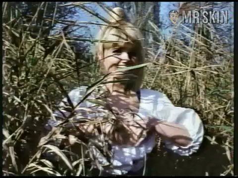 Ingrid Steeger Naked in The Sex Adventures of the Three Musketeers. Breasts, Butt. 216337
