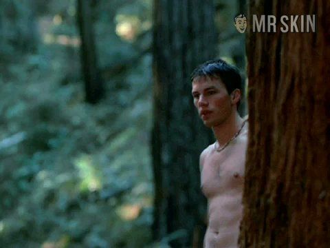 Hilary Swank in Heartwood (1998) Breasts Breasts 181984