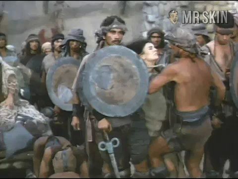 Lillian Cameron in The Warrior and the Sorceress (1984) Breasts Breasts Bush 180768