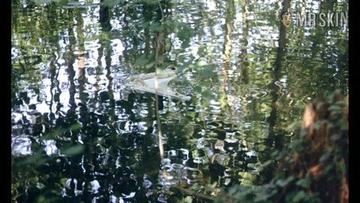 Sirpa Lane in The Beast (1975) Breasts Butt Bush Real Sex Real Sex Breasts 178002