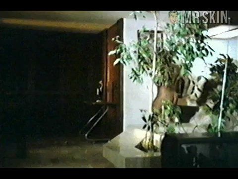 Jacaranda Alfaro in Los verduleros 3 (1988) Breasts Butt Bush Breasts Bush 189612