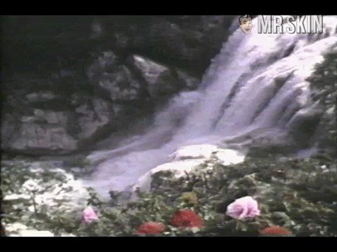 Candy Wilson in The Sin of Adam and Eve (1969) Breasts Breasts Bush 182327