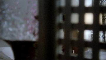 Eiko Nagashima in Human Beasts (1980) Breasts Breasts Butt 209344