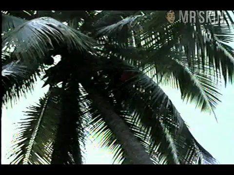María Sorté in Zona roja (1976) Breasts Breasts Sexy 189618