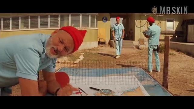 Anne-Marie Sakowitz from The Life Aquatic with Steve Zissou Naked. Breasts. 196355