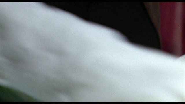 Sexiest Susan Scenes. Underwear, body double, breasts. 204004