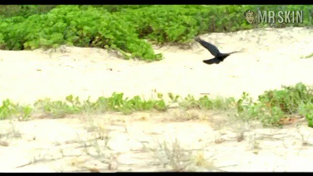 Lenka Kripac in Lost Things (2003) Breasts Bikini Breasts 198985