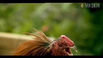 Helen Hemingway in Pacific Banana (1981) Breasts Butt Breasts Butt 200938