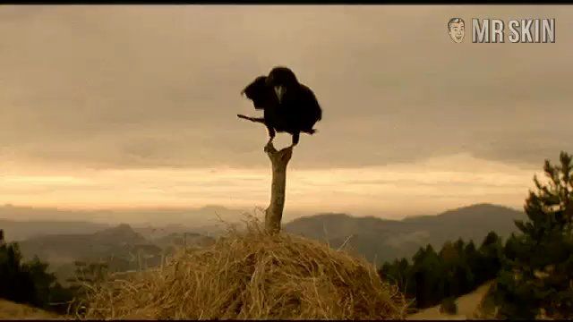 Natasa Solak in Life Is a Miracle (2004) Breasts Breasts 202381