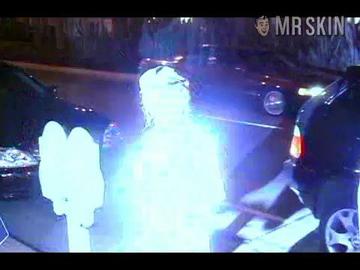 Nicollette Sheridan in America's Favorite  Housewives (2006) Sexy Sexy 200737