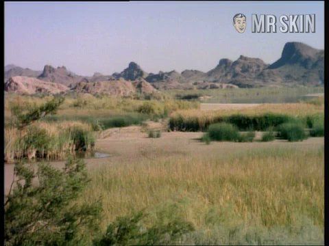 Vicky Dee in Common Law Cabin (1967) Breasts Bikini Breasts 208136