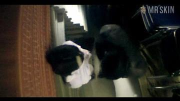 Makoto Shinohara in A Woman Wearing a Leotard (2001) Breasts Breasts Bush 203565