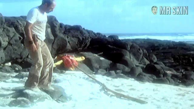 Laura Gemser in Private Collections (1979) Breasts Butt Breasts Butt 204844