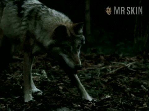 Kata Dobó in Blood and Chocolate (2007) Butt Butt 206280