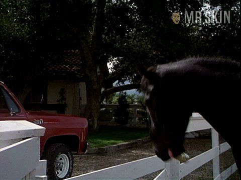 Hooper's Sexiest Scenes with Sally Field. Sexy. 229554