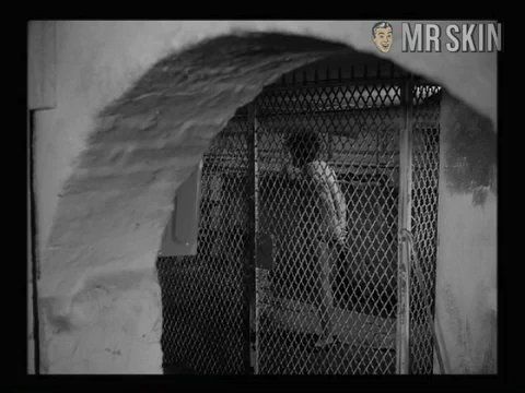 Cynthia Grey in Olga's Girls (1964) Breasts Breasts 208232