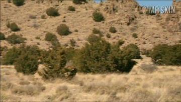 Danielle De Luca in Naked Fear (2007) Full Nudity Breasts Bush 217857