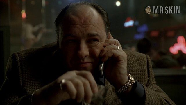 Nudes of Lori from The Sopranos. Breasts. 240042