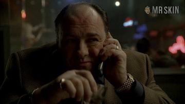 Nathalie Walker in The Sopranos (1999-2007) Breasts Breasts 240042