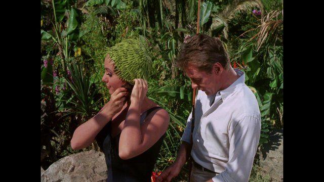 Dawn Wells in Gilligan's Island (1965-1966) Sexy Sexy 260745
