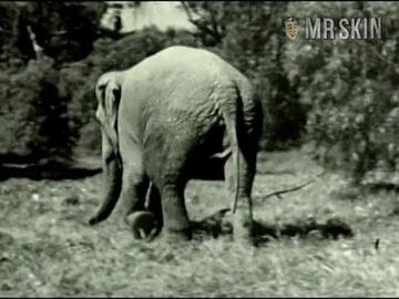 Mimi Rogers in Dream On (1990-1996) Sexy Underwear Sexy Underwear 212502