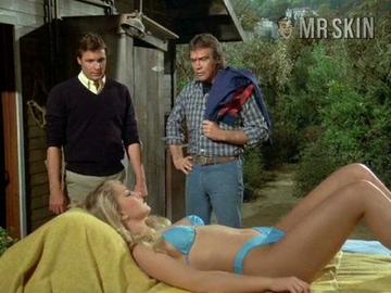 Heather Thomas in The Fall Guy (1981-1982) Bikini Bikini Sexy* 214388