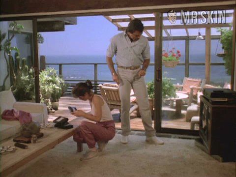 Magnum, P.I.'s Sexiest Scenes with Dana Delany. Bikini. 214662
