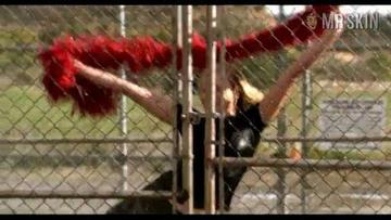 Portia de Rossi in Arrested Development (2003-2019) Sexy Bikini Sexy 213742