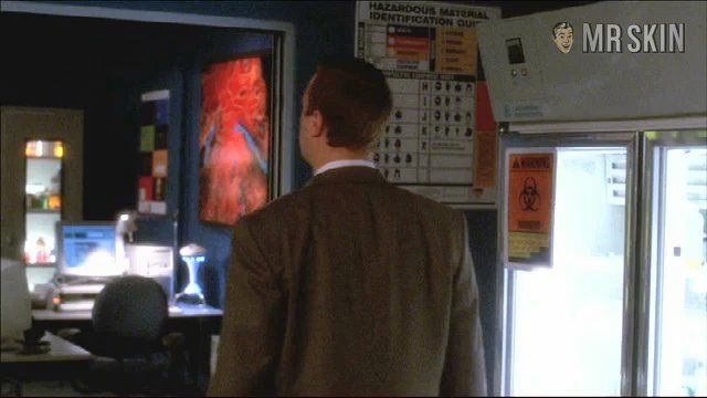 Pauley Perrette in NCIS (2003-2018) Sexy Sexy 216597