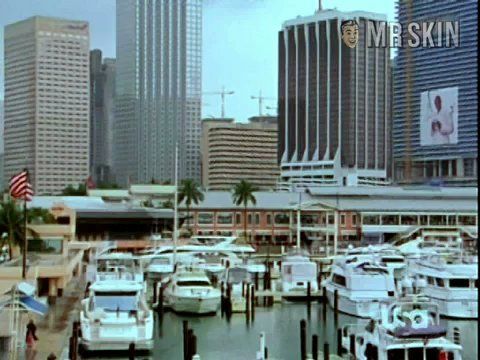 Cindy Taylor in Burn Notice (2007-2011) Bikini Bikini 214140