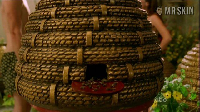 Anna Friel in Pushing Daisies (2007-2008) Underwear Sexy Underwear 215056