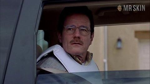 Linda Speciale Nude in Breaking Bad. Breasts. 235126