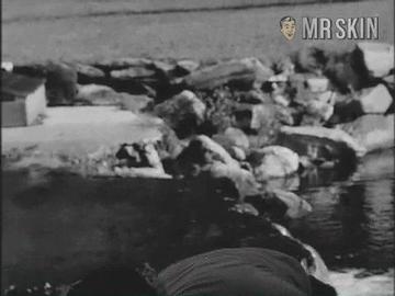 Lorraine Rogers in Violent Midnight (1963) Breasts Breasts Butt 209429