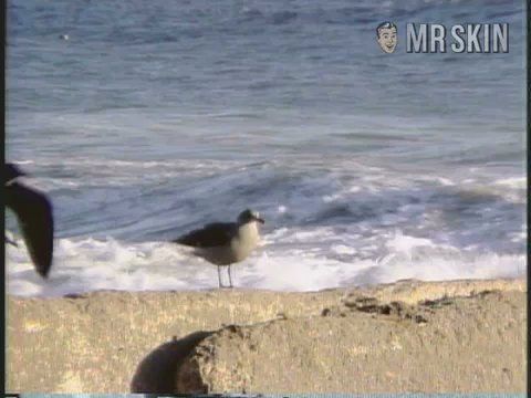 Mary McKinley in Boarding House (1982) Breasts Breasts 209533