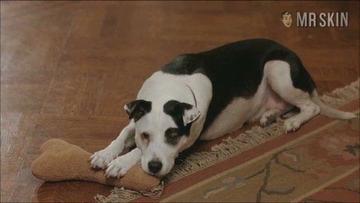 Malin Åkerman in Heavy Petting (2007) Underwear Underwear 210168