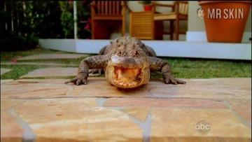 Courteney Cox in Cougar Town (2009-2015) Bikini Bikini Sexy 219080