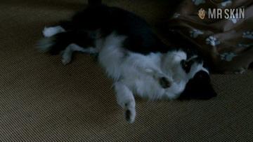 Jessica Alba in Valentine's Day (2010) Underwear Underwear 221396