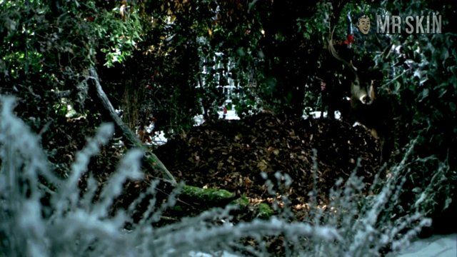 Laetitia Casta in Face (2009) Full Nudity Breasts Bush 221743