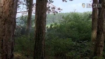 Kacey Barnfield, Angelica Penn in Lake Placid 3 (2010) Breasts Butt Bikini Bikini* 222860