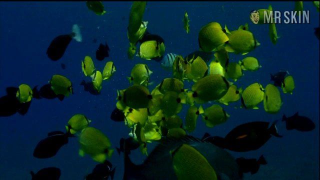 Laura Dern in Enlightened (2011) Bikini Bikini 226825