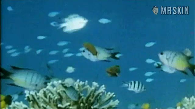 Gina Allen in Australia After Dark (1975) Full Nudity Breasts Bush 227716