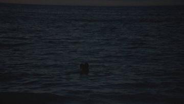 Teri Polo, Sherri Saum in The Fosters (2013-2018) Sexy Lesbian Bikini Lesbian 268334