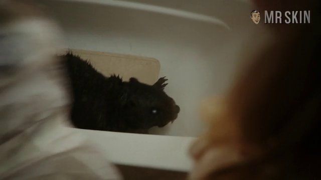 Sexiest Scenes of Jenn from Zombeavers. Sexy, Underwear, bikini. 239915