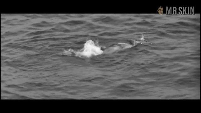 Diane Cilento in Stop Me Before I Kill (1960) Breasts Sexy Breasts Sexy 245520