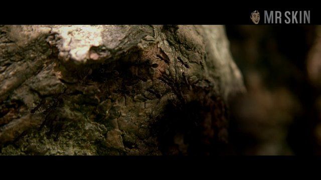 Gwenllian Higginson, Olivia Jewson in Crying Wolf (2015) Breasts Breasts Sexy 247750