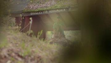 Melinda Shankar in Slasher (2016-2021) Sexy Underwear Bikini Sexy 262997