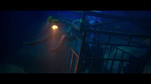 Sexiest Scenes of Kate from 47 Meters Down. Bikini. 252383