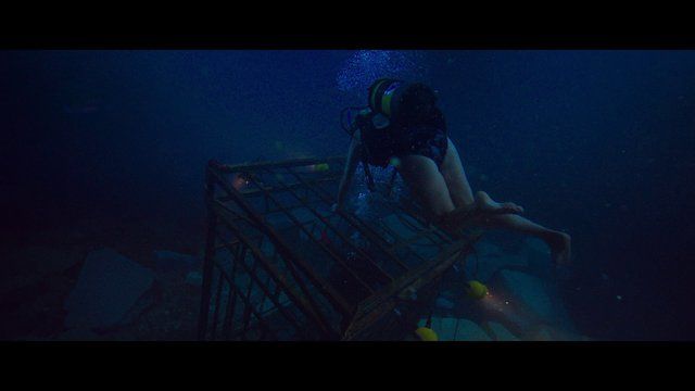 47 Meters Down's Sexiest Scenes with Claire Holt. Bikini. 252384